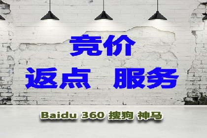 百度竞价广告投放全解析：成功案例揭秘